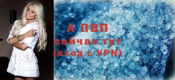 индика Баксан
