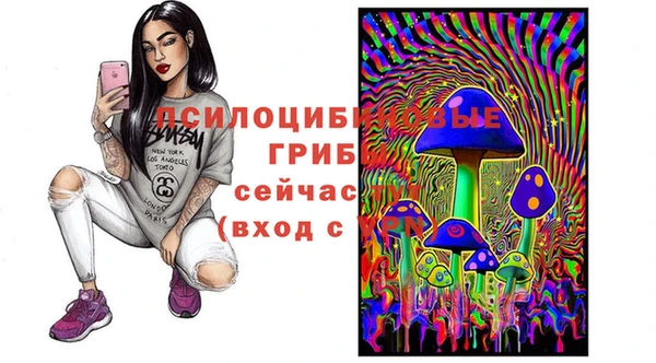индика Баксан