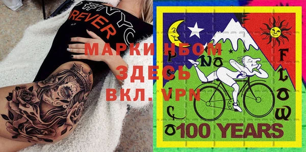 индика Баксан