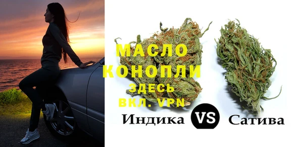 индика Баксан