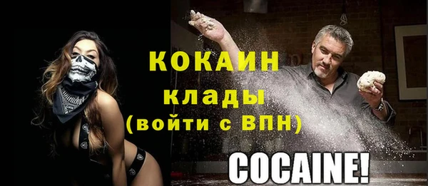 индика Баксан
