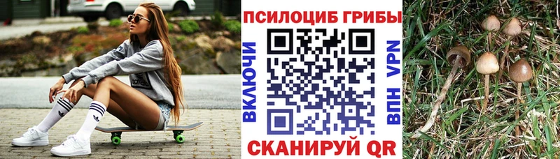 Псилоцибиновые грибы мухоморы  Шацк 