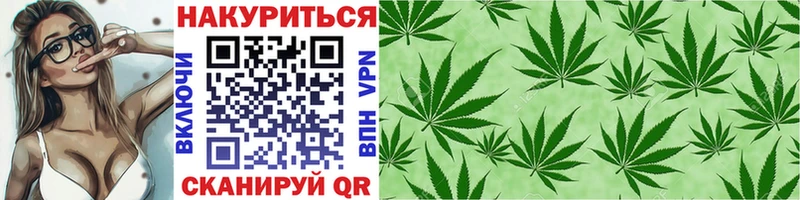 МАРИХУАНА план  маркетплейс телеграм  Шацк 